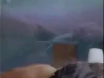 Trei lesbo miere pline de farmec lenjerie sexy marimi mari sunt în joacă și sărutări