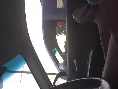 Dragostea face ca puii să ajungă la orgasm și apoi lesbienele  să se alterneze